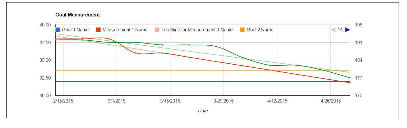 Lifetime Fitness Tracker Spreadsheet